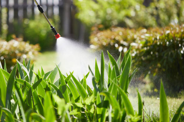 24/7 Emergency Wasp Removal experts in Mansfield, AR