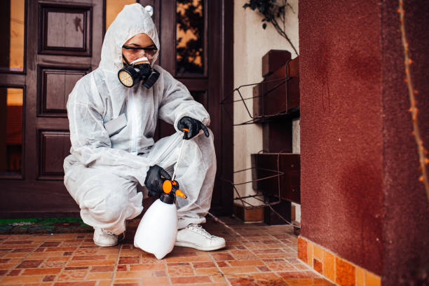 Reliable Wasp Removal contractor in Mansfield, AR by Show Me Pest Control